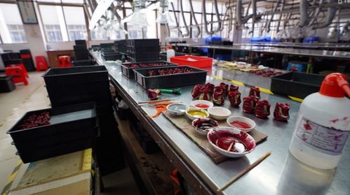 涉案近4億 又一玩具侵權大案告破,抓了64人