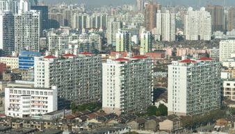 不搞 大開挖 大治理 ,上海探索出特大型城市土壤污染治理 桃浦樣板