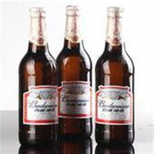 上海食品商機(jī)